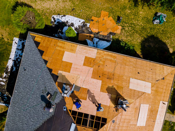 Best Local Roofing Companies  in Vicksburg, MI